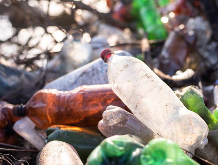 Ground with a lot of scattered plastic bottles